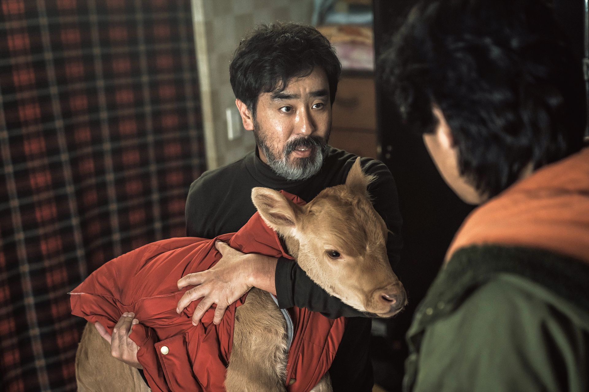 Cattle Run publicity still